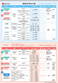 国内発送 【バラ売り対応可】Vリーグトレカ レギュラーカード＆特典