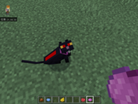 マイクラ統合版でネコのテクスチャを作ったんですが 手懐けると元に戻ってし Yahoo 知恵袋