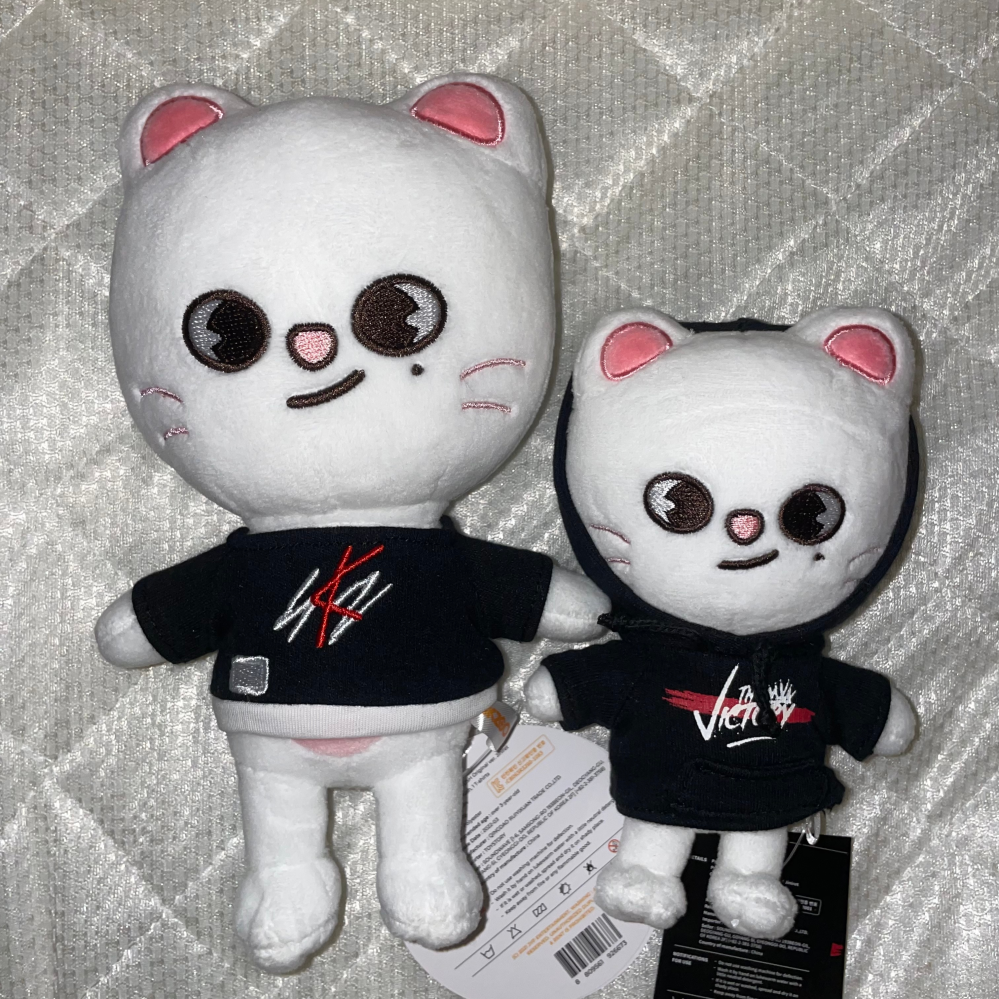 straykids スキズ ぬいぐるみ オリジナルサイズ 81DyntPNd-L._UF350,350_QL80_.jpg
