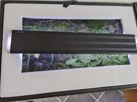 アカハライモリ 1匹 を普通のプラスチックの水槽で飼っていま Yahoo 知恵袋