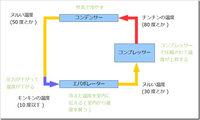 回答の画像