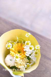 卒業式に女の子の親友に花束を渡す予定なのですが 花言葉を考慮し Yahoo 知恵袋