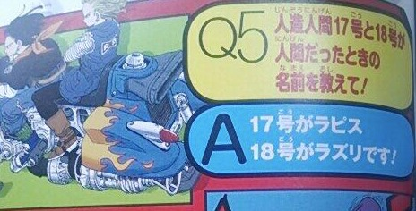 ドラゴンボールZ カード　人造人間17号　ビーデル 悟空 道 着 破れ ドラゴンボールZ カード 人造人間17号 ビーデル