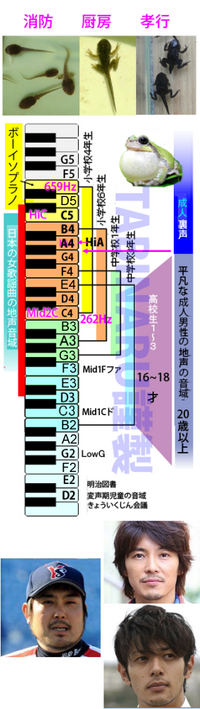 声が低い男です 高2です カラオケで歌う音程が低い曲のオススメ Yahoo 知恵袋
