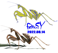 イラストを書いてみました これは 何でしょう カマキリ Yahoo 知恵袋