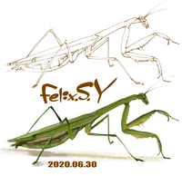 イラストを書いてみました これは 何でしょう おはよ Yahoo 知恵袋