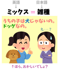 雑種 犬 は英語でなんといいますか ミックスではなく いろいろ Yahoo 知恵袋