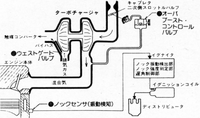 回答の画像