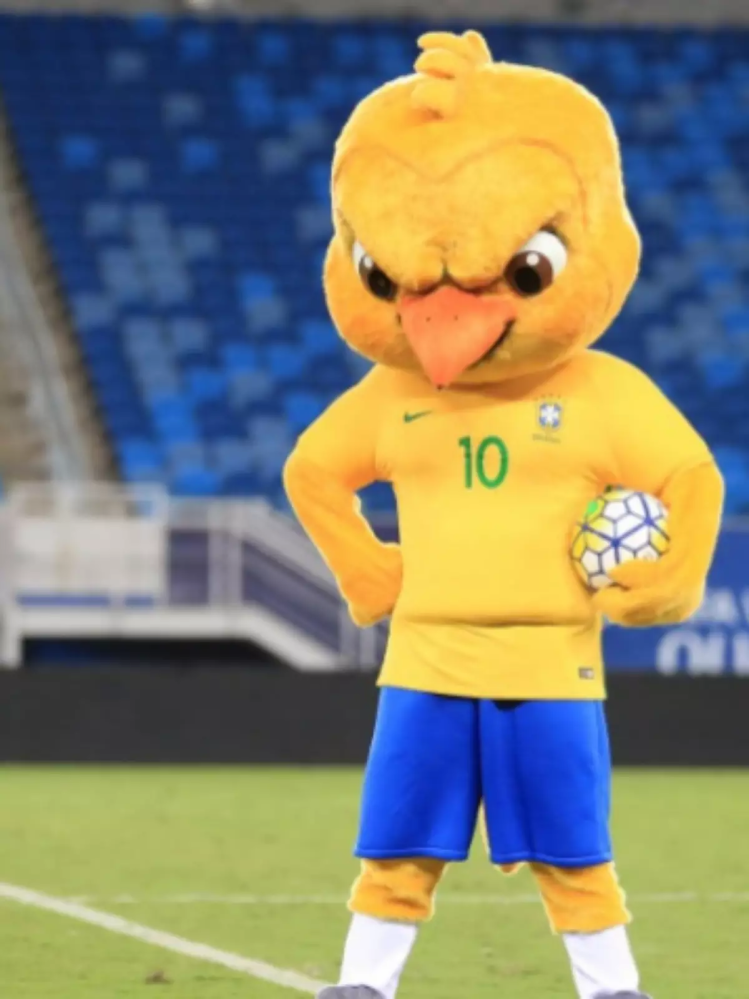 ブラジル代表 背番号7 PATO パト ユニフォーム ウェア 黄色 カナリア軍団 サッカーブラジル代表のことをカナリア軍団と呼ぶのはなぜですか