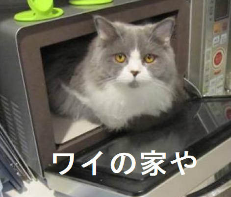 電子レンジを作動中に開けて、すぐに中の物を確認するために顔を近 