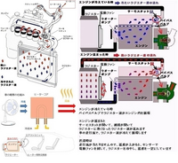 回答の画像