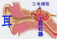 回答の画像