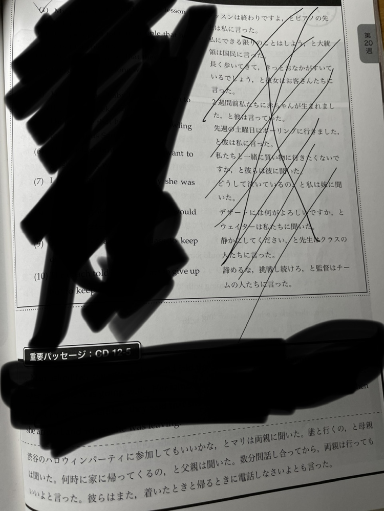 鉄緑会の重要例文，パッセージ口頭チェックってなんですか