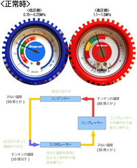 回答の画像