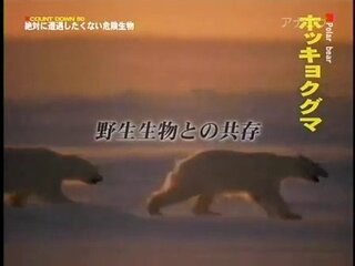 コンプリート 絶対に遭遇したくない危険生物 モクスペ 絶対に遭遇したくない危険生物