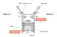 回答の画像