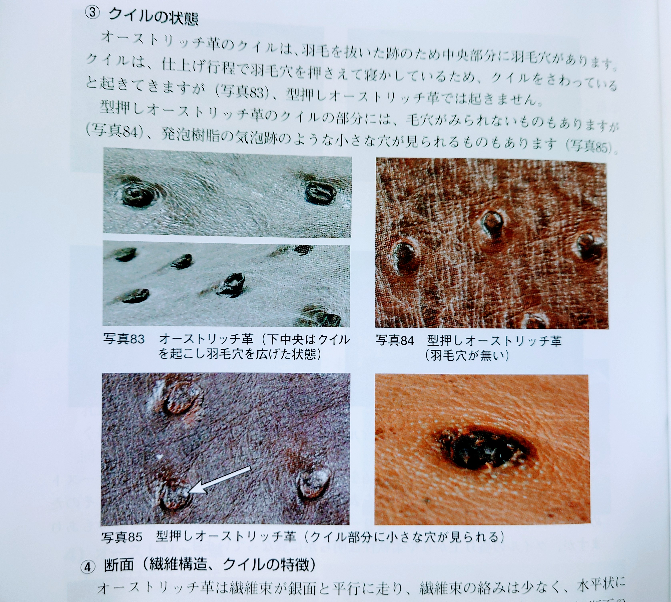 オーストリッチのバックがありますが、本物か偽物かわかりません。外 