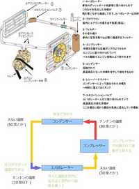 回答の画像