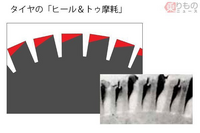 回答の画像