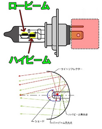 回答の画像