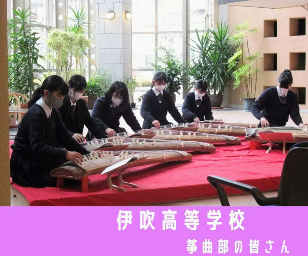 和楽器を初めてみたいです和楽器でミニお琴を知りました。アパート