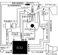 回答の画像