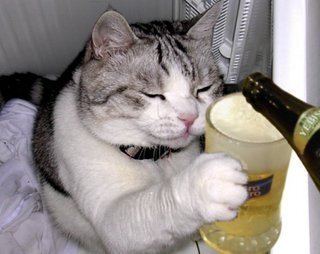 猫ちゃんがうっかり酒を飲んでしまったら、やっぱり酔っ払いますか？そ... - Yahoo!知恵袋