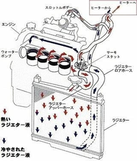 回答の画像