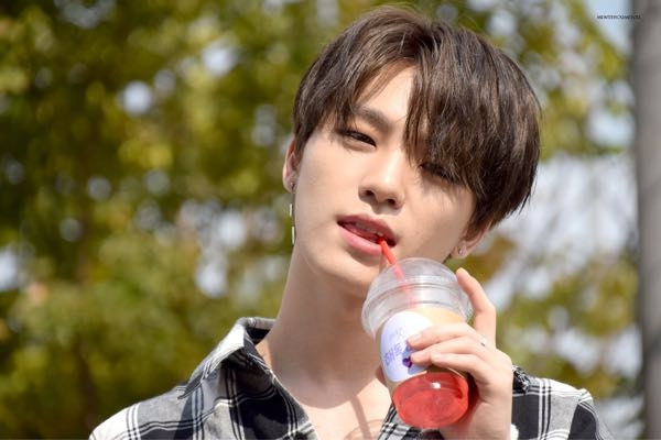SEVENTEEN セブチ エスクプス ドギョム ディノ ディエイト バーノン 私たちの最高の姿をお見せしたい。」 上岩伐で7万人の観客を熱狂