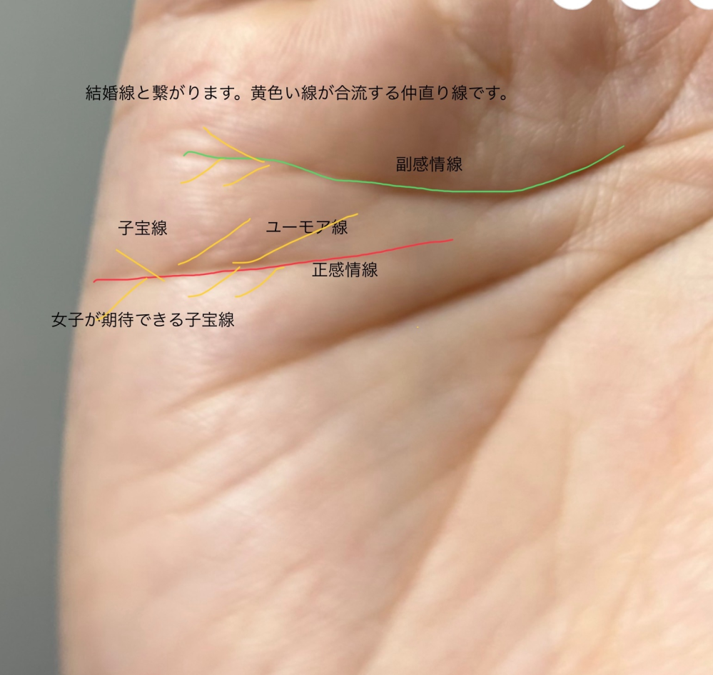子供 が 何人 できる か 手相