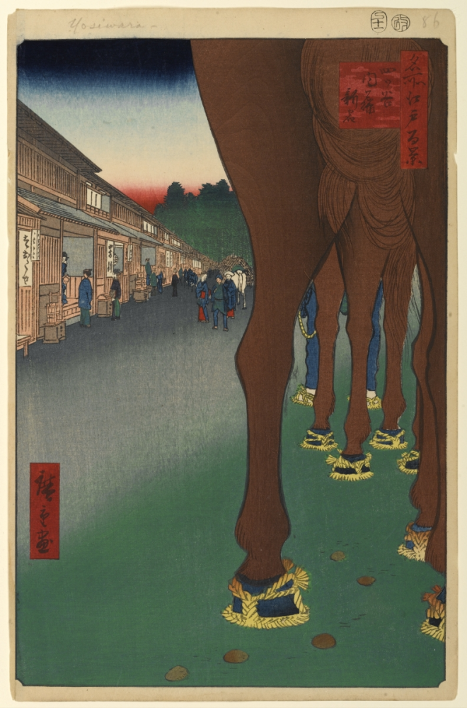 馬の蹄は、削ったり、整えて蹄鉄をはめますが、野生の馬は、そのままで