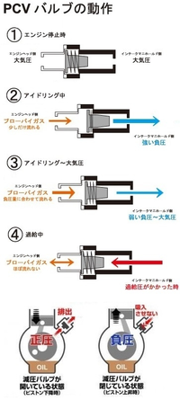 回答の画像