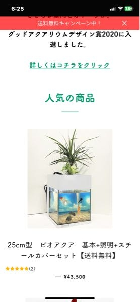 手間のかからないアクアリウムについて教えてください。ズボラ人