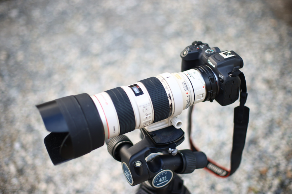Canon一眼レフカメラ用！望遠レンズ！サードパーティ製品！おすすめ！大人気！ 最安！即決OK！Canonカメラをお持ちの方におすすめ！望遠レンズ