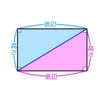 なぜ三角形は底辺 高さ ２なのですか どうして ２がはいるのです Yahoo 知恵袋