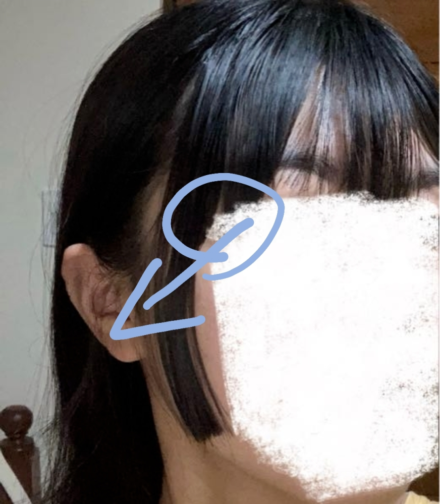 触覚 変