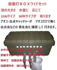 自作の1トン位の池ですがアオコ？でフィルターがすぐ詰まります。アオコと思われ... - Yahoo!知恵袋