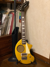 ZO-3 音出し可　現状渡し ZO-3のピックアップについて考えてみる : おろかなるひとり言