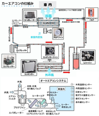 回答の画像