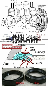 回答の画像