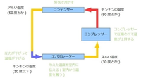 回答の画像