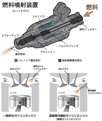 回答の画像