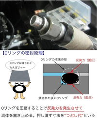 回答の画像