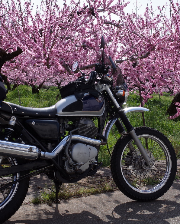 cb400ssでトラッカーカスタムにすることは可能ですかね？ - Yahoo!知恵袋
