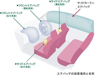 回答の画像