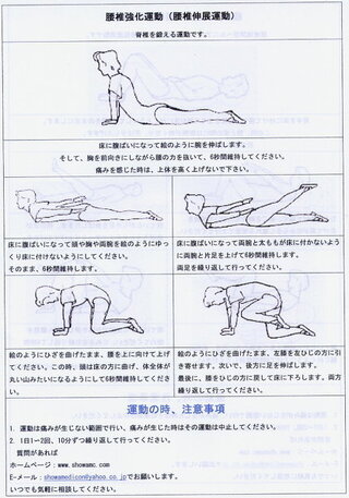 腰痛や椎間板ヘルニアにきくサプリメントはありますか グルコサミンやコン Yahoo 知恵袋