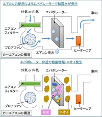 回答の画像