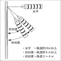 回答の画像