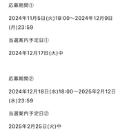 MISAMOのHAUTECOUTUREのシリアルコード入力期限はいつ