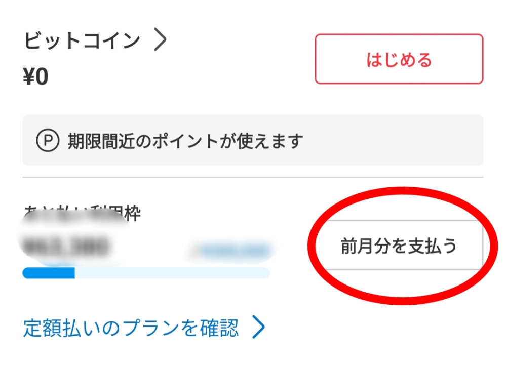 すいません誰か教えて頂きたいのですがメルカリでの購入後の翌月払い